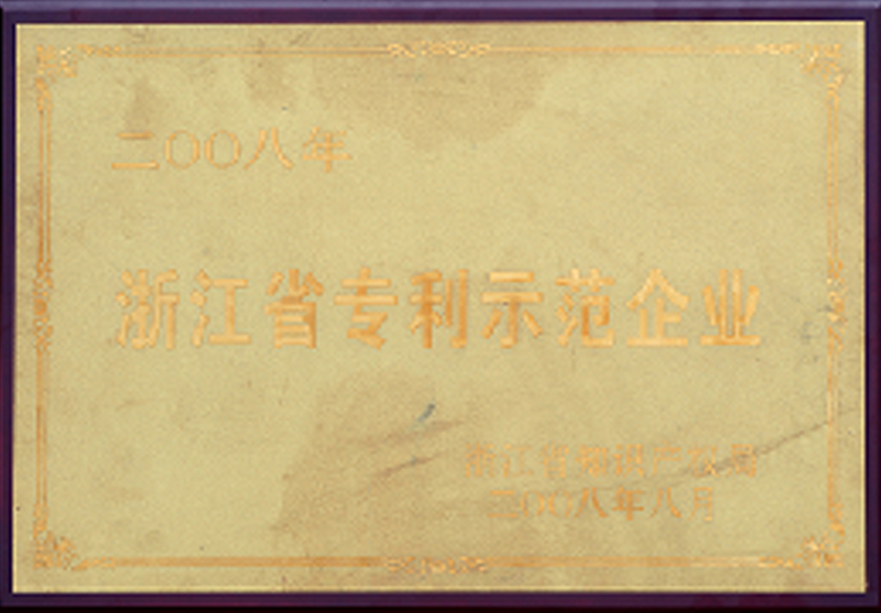Zhejiang Patent Demonstration Enterprise